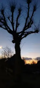 Pat 04 - Mooi licht 2